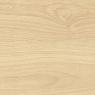 Beech Light Beech Light