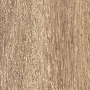 Glacier Bay Oak