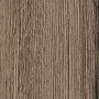 Delicious Oak Delicious Oak