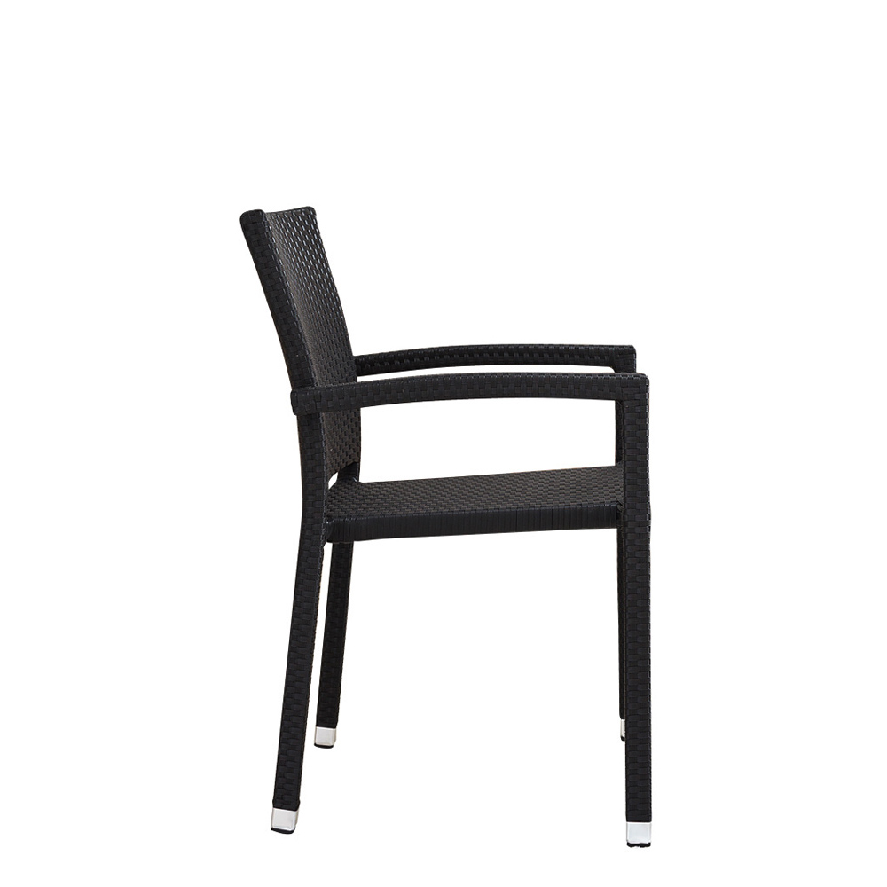 Panama black seagrass